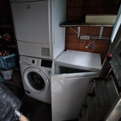 20241119_085655.jpg