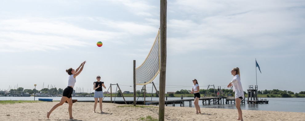 Volleybal strand Paardekreek.jpg