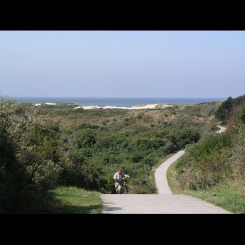 Verklikkersduinen