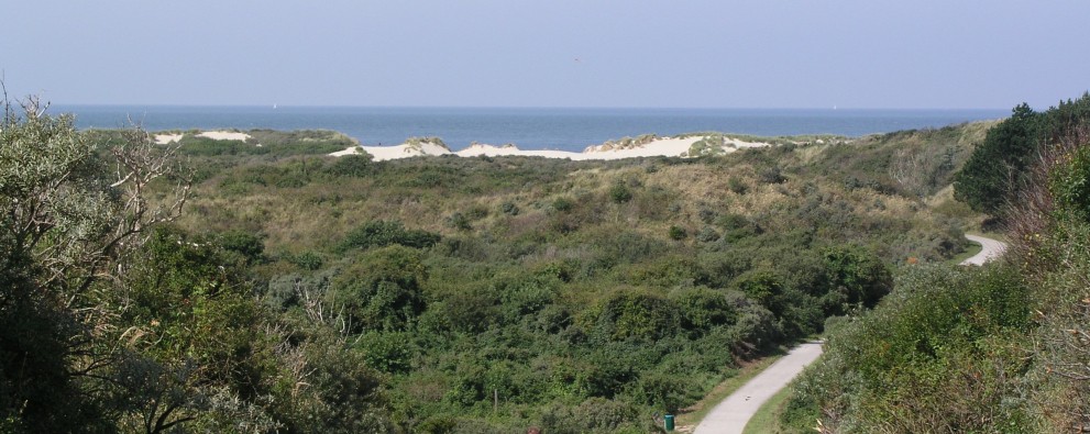 Verklikkersduinen