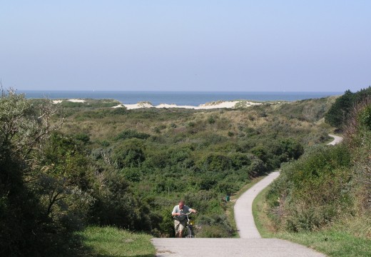 Verklikkersduinen Verklikkersduinen