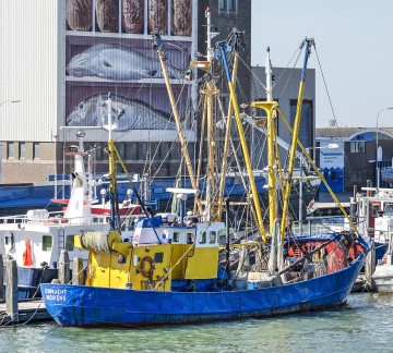 Brekens - Haven -Depositphoto.jpg