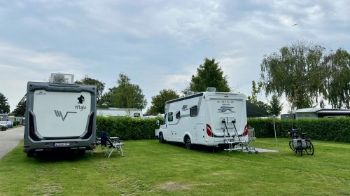 Camperplaatsen Duindoornlaan.jpeg