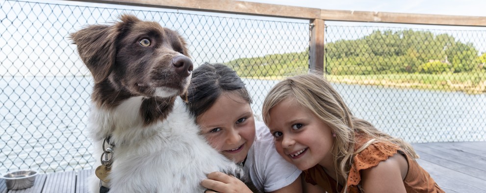 Veerse Meersuite honden toegestaan.jpg
