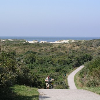 Verklikkersduinen