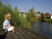 Vakantievilla/Bungalow - Meerkoet 5