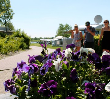 Op het terrein
